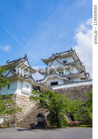 初夏の伊賀上野城（三重県伊賀市） 119889085