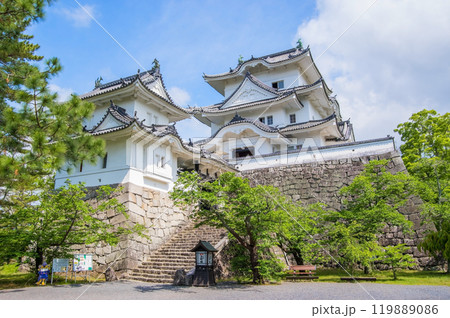 初夏の伊賀上野城(三重県伊賀市) 初夏の伊賀上野城(三重県伊賀市) 119889086