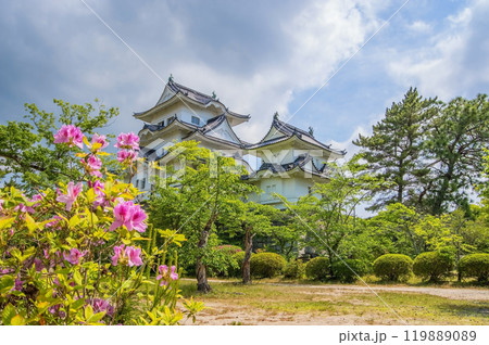 初夏の伊賀上野城（三重県伊賀市） 119889089