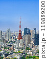 都心の眺望：東京タワーと高層ビルが織りなす美しい風景(縦) 119889200
