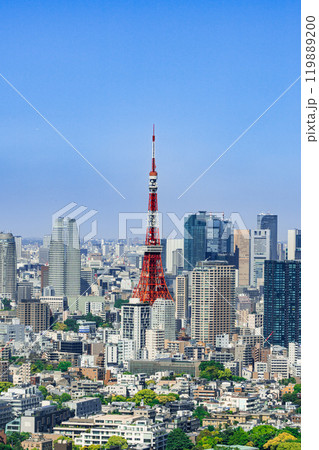 都心の眺望：東京タワーと高層ビルが織りなす美しい風景(縦) 119889200