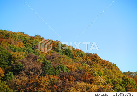 紅葉に染まる尾根の風景16 紅葉に染まる尾根の風景16 119889780