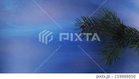 Wet pine branch. Hazy flow. Rain water droplets green tree needles in blue pink color fog refreshing ambient abstract blurry background. Wet pine branch. Hazy flow. Rain water droplets green tree needles in blue pink color fog refreshing ambient abstract blurry background. 119889850