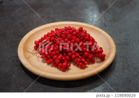 秋の鮮やかな赤実・朝鮮五味子 119890029