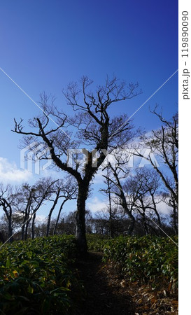 神の子池・裏摩周トレイルルート 119890090