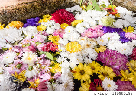 カラフルな花手水、神社の一画にて 119890185