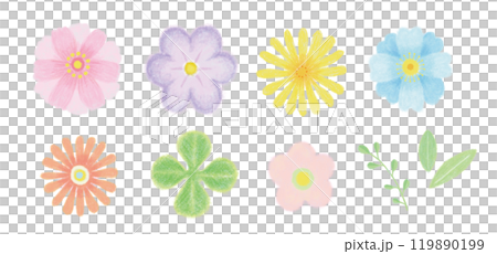 各種花卉手繪插圖集 各種花卉手繪插圖集 119890199