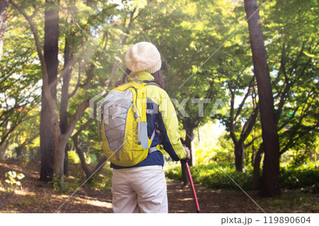 山歩きをするシニア女性　後ろ姿 119890604