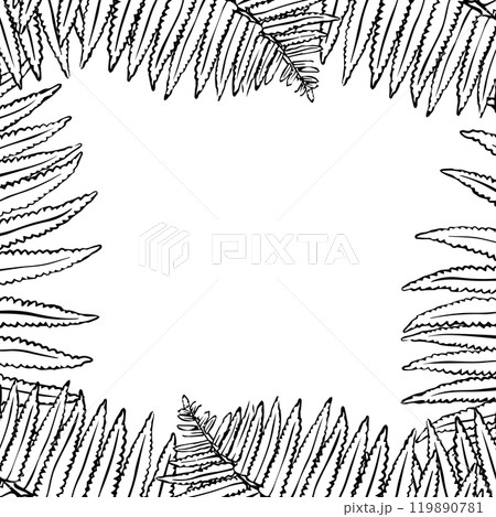 Frame with fern leaves. Fern leaf drawing in flat style. Autumn seasonal background with forest foliage. Vector Frame with fern leaves. Fern leaf drawing in flat style. Autumn seasonal background with forest foliage. Vector 119890781