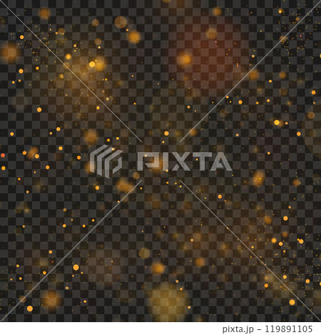 Golden Sparkling Light Effects on Transparent Background for Stock Use Vector 119891105