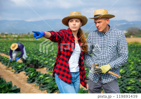 Couple of farmers talking on cabbage field of farm Couple of farmers talking on cabbage field of farm 119891439
