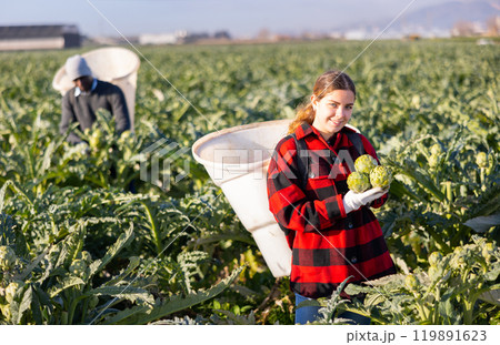 Portrait young woman gardener on artichoke plantation Portrait young woman gardener on artichoke plantation 119891623