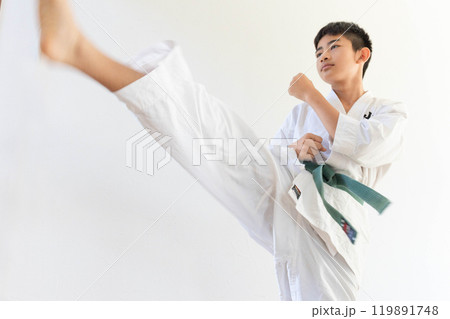 空手蹴り少年2 119891748