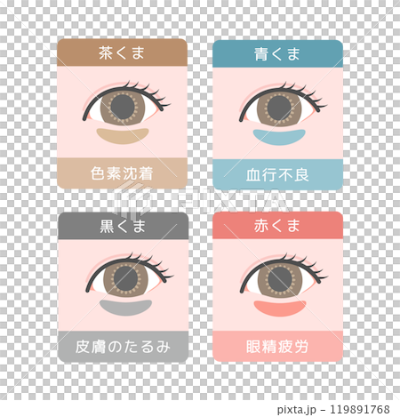 眼熊類型插圖集 眼熊類型插圖集 119891768