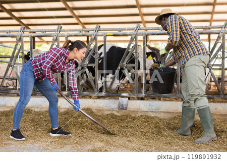 Woman and man working together on livestock farm Woman and man working together on livestock farm 119891932