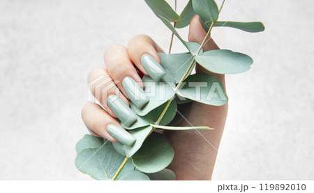 Elegant hands showcasing gray-green nails while holding fresh eucalyptus stems Elegant hands showcasing gray-green nails while holding fresh eucalyptus stems 119892010