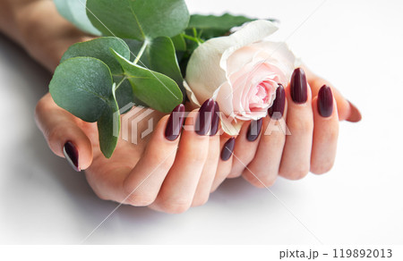 Elegant hands holding a pink rose with dark polished nails against a light background Elegant hands holding a pink rose with dark polished nails against a light background 119892013
