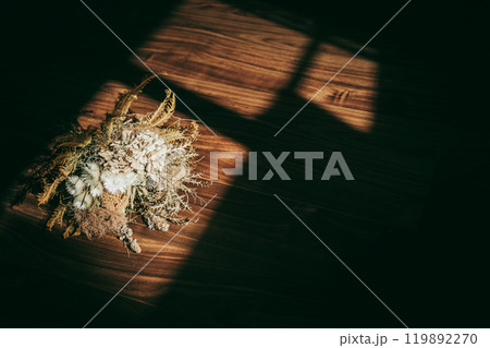 窓から差し込む光に照らされるドライフラワー 窓から差し込む光に照らされるドライフラワー 119892270