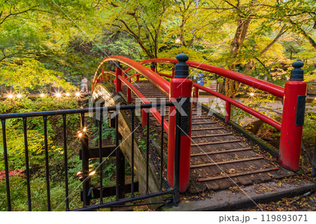 【群馬県】紅葉が始まった伊香保温泉・河鹿橋　ライトアップ 119893071