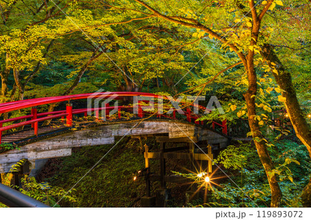 【群馬県】紅葉が始まった伊香保温泉・河鹿橋　ライトアップ 119893072