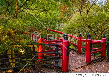 【群馬県】紅葉が始まった伊香保温泉・河鹿橋 ライトアップ 【群馬県】紅葉が始まった伊香保温泉・河鹿橋 ライトアップ 119893074