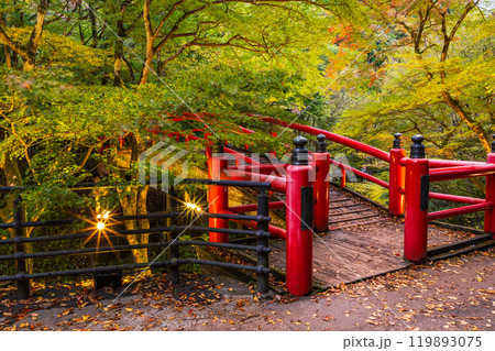 【群馬県】紅葉が始まった伊香保温泉・河鹿橋　ライトアップ 119893075