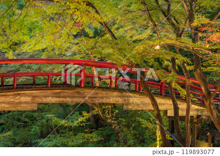 【群馬県】紅葉が始まった伊香保温泉・河鹿橋　ライトアップ 119893077