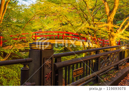 【群馬県】紅葉が始まった伊香保温泉・河鹿橋 ライトアップ 【群馬県】紅葉が始まった伊香保温泉・河鹿橋 ライトアップ 119893078