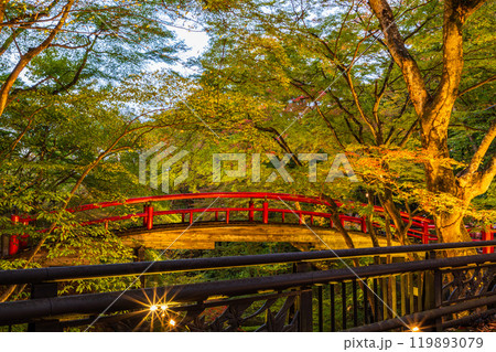 【群馬県】紅葉が始まった伊香保温泉・河鹿橋 ライトアップ 【群馬県】紅葉が始まった伊香保温泉・河鹿橋 ライトアップ 119893079