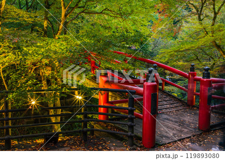 【群馬県】紅葉が始まった伊香保温泉・河鹿橋　ライトアップ 119893080