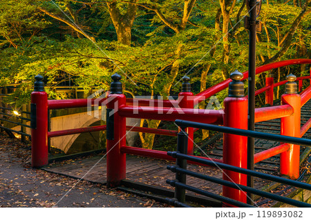 【群馬県】紅葉が始まった伊香保温泉・河鹿橋　ライトアップ 119893082