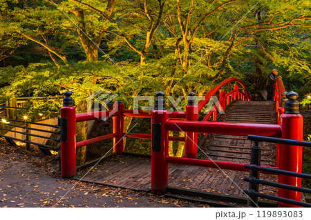 【群馬県】紅葉が始まった伊香保温泉・河鹿橋 ライトアップ 【群馬県】紅葉が始まった伊香保温泉・河鹿橋 ライトアップ 119893083