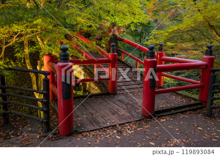 【群馬県】紅葉が始まった伊香保温泉・河鹿橋 ライトアップ 【群馬県】紅葉が始まった伊香保温泉・河鹿橋 ライトアップ 119893084