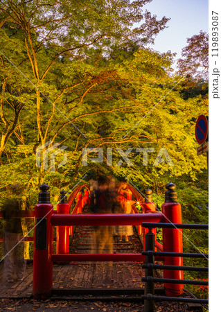 【群馬県】紅葉が始まった伊香保温泉・河鹿橋 ライトアップ 【群馬県】紅葉が始まった伊香保温泉・河鹿橋 ライトアップ 119893087