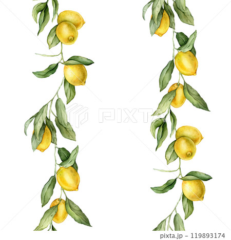 Seamless vertical border or banner tropical lemon. Hand drawn watercolor illustration on white isolated background. Citrus pattern for frame or banner. Fruit with green leaves for product label 119893174