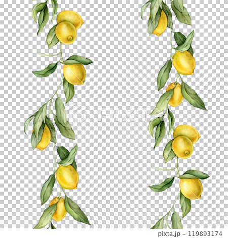 Seamless vertical border or banner tropical lemon. Hand drawn watercolor illustration on white isolated background. Citrus pattern for frame or banner. Fruit with green leaves for product label 119893174