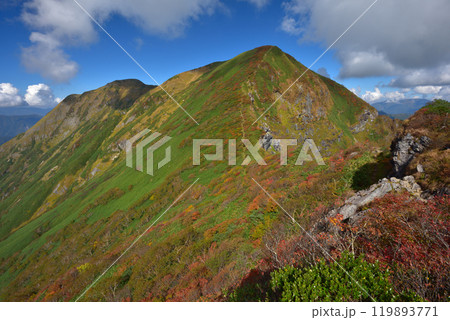紅葉の谷川岳稜線から一ノ倉岳、茂倉岳を見る 紅葉の谷川岳稜線から一ノ倉岳、茂倉岳を見る 119893771