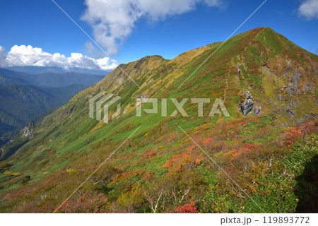 紅葉の谷川岳稜線ノゾキ付近から一ノ倉岳、茂倉岳を見る 紅葉の谷川岳稜線ノゾキ付近から一ノ倉岳、茂倉岳を見る 119893772