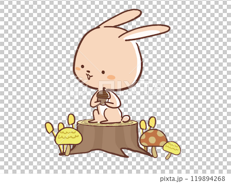 ドングリを持って座るウサギのイラスト 119894268