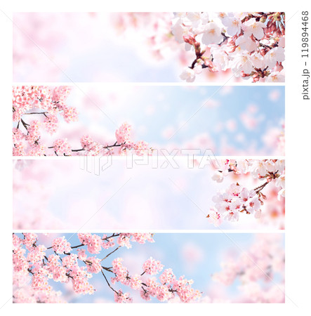 Set of horizontal banner with sakura flowers of white and pink colors. Collection of beautiful nature spring background with a branch of blooming sakura. Hanami time in Japan 119894468