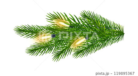 Fir branch with garland of yellow lights for Christmas, New Year greeting cards, banners 119895367
