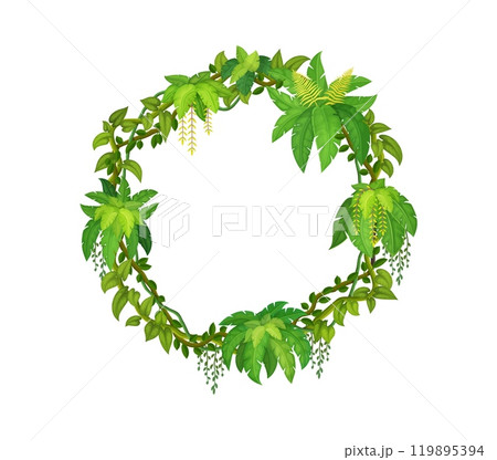 Tropical jungle round frame with forest liana branch and leaves. Isolated cartoon vector circular herbal border template with vines and green leaves. Empty photo frame with rainforest plants foliage 119895394