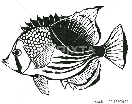 可愛い熱帯魚セグロチョウチョウウオのシンプル白黒切り絵イラスト 119895936