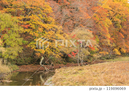秋の尾瀬 草紅葉と森の紅葉 山ノ鼻〜竜宮 秋の尾瀬 草紅葉と森の紅葉 山ノ鼻〜竜宮 119896069