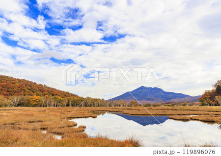 秋の尾瀬 草紅葉と森の紅葉 山ノ鼻〜竜宮 秋の尾瀬 草紅葉と森の紅葉 山ノ鼻〜竜宮 119896076