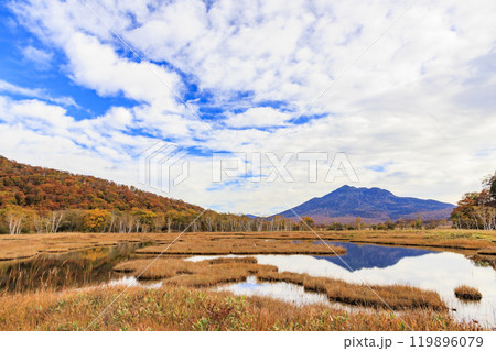 秋の尾瀬　草紅葉と森の紅葉　山ノ鼻〜竜宮 119896079