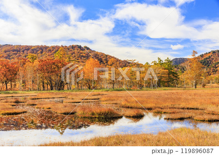 秋の尾瀬　草紅葉と森の紅葉　山ノ鼻〜竜宮 119896087