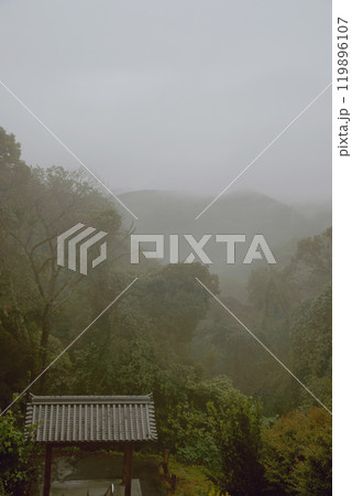 兵庫県加西市網引町・周遍寺山門の朝 119896107