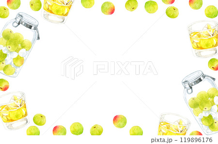 青梅の実と梅酒（梅シロップ）のフレーム　野菜・フルーツの手描き水彩イラスト背景素材 119896176
