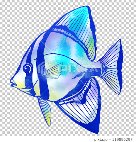 燕尾魚的剪紙插圖，這是一種具有獨特鰭的鹹水魚。 119896297